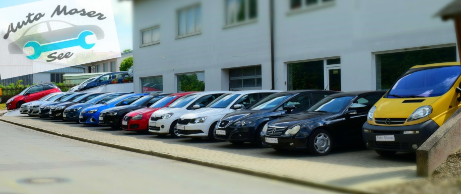 Auto Moser